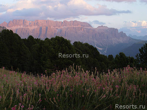 Almhotel Col Raiser 34